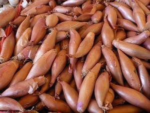 エシャロットの画像