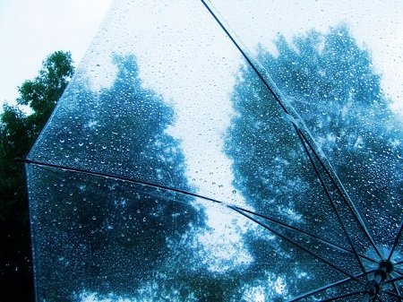 梅雨の画像