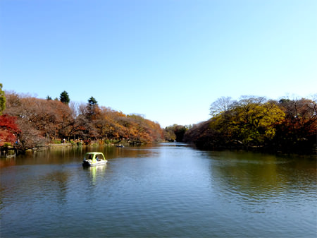 七井橋からの景観