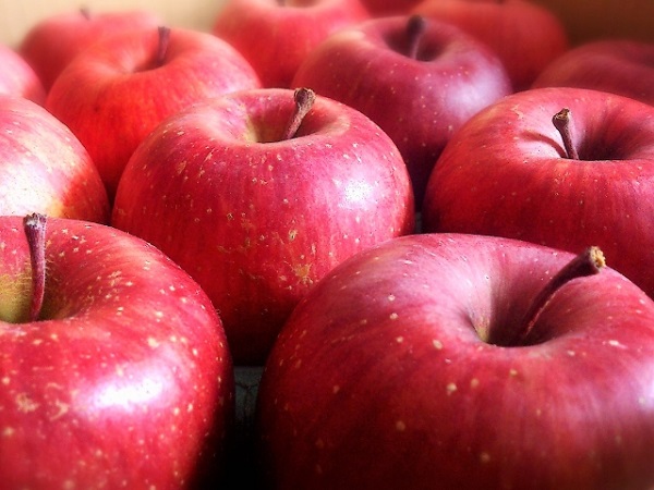 りんごの種類一覧。甘くて美味しい品種の選び方
