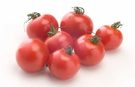 ミニトマトとプチトマトの違いとは？フランス語と英語が関係している？
