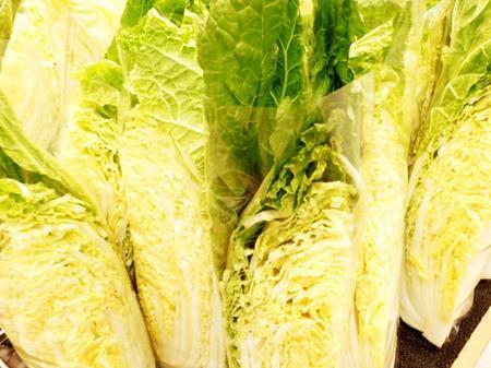 白菜の最適な保存方法は冷蔵・冷凍・常温どれが一番日持ちする？