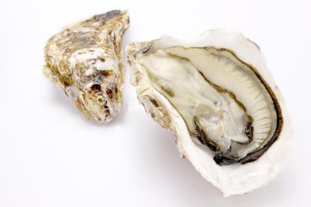 牡蠣の旬は夏？真牡蠣と岩牡蠣の違いって知っていますか？