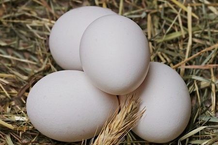 卵は常温に戻してから調理する方が美味しい理由とは？早く戻すコツは？
