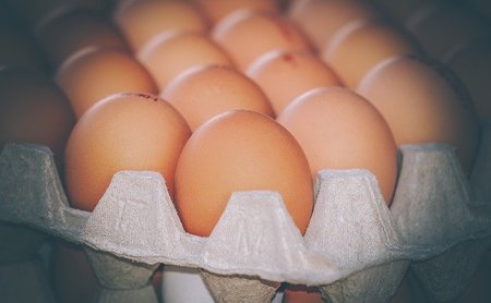卵の賞味期限は1ヶ月過ぎても食べられるって本当？調べてみました！